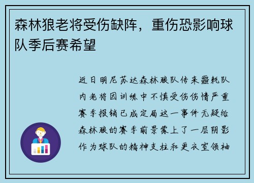 森林狼老将受伤缺阵，重伤恐影响球队季后赛希望
